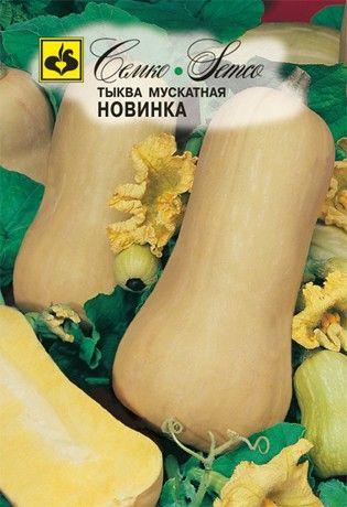 Тыква Новинка /Семко/ - фото 1 - id-p112972935