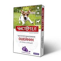 Иттерге арналған максималды күлгін Целандин бүргеден жасалған жаға