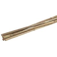 Палка бамбуковая h 75 см d 8 - 10 мм набор 10 шт