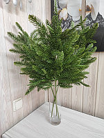 Лапник хвойный