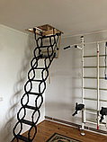 Металлическая чердачная лестница Oman (60х80х290 см) Польша Whats Upp.+7 707 570 5151, фото 2