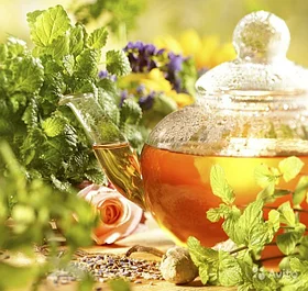 ЦЕЛЕБНЫЕ ТРАВЫ АЛТАЯ