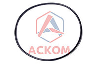 КОЛЬЦО УПЛОТНИТЕЛЬНОЕ КОРПУСА ВОДЯНОГО НАСОСА (ОАО КАМАЗ)