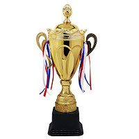 Кубок 51 см