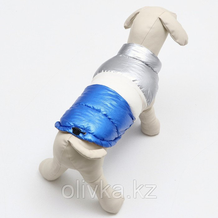 Куртка для собак с утяжкой размер 12 (ДС 28, ОГ 38, ОШ 27), серебряно-синяя - фото 3 - id-p113235449