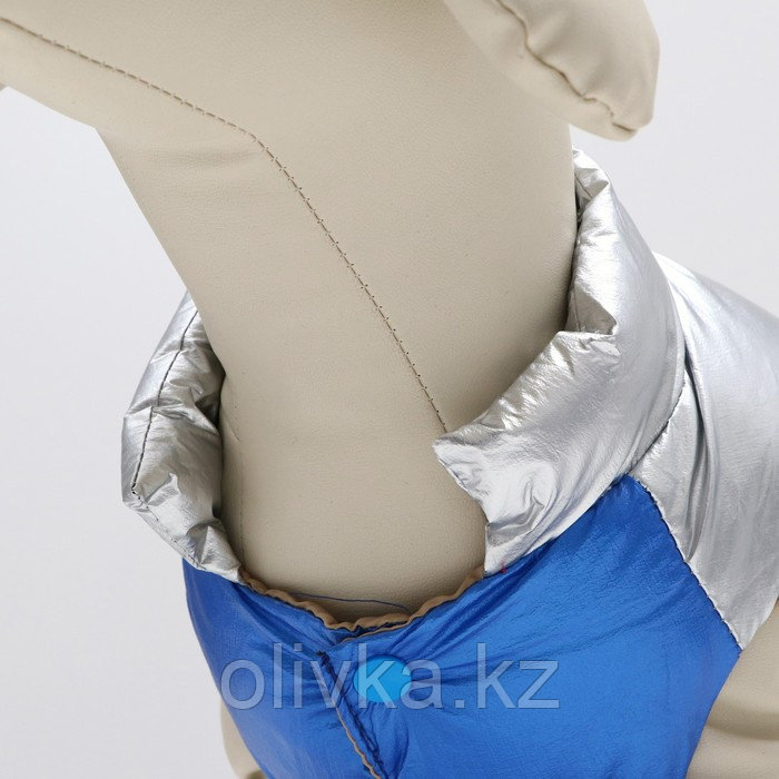 Куртка для собак с утяжкой размер 12 (ДС 28, ОГ 38, ОШ 27), серебряно-синяя - фото 4 - id-p113235449