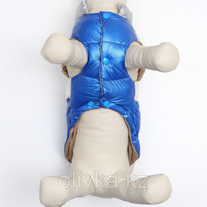 Куртка для собак с утяжкой размер 12 (ДС 28, ОГ 38, ОШ 27), серебряно-синяя - фото 5 - id-p113235449