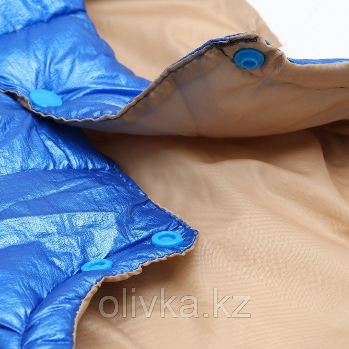 Куртка для собак с утяжкой размер 12 (ДС 28, ОГ 38, ОШ 27), серебряно-синяя - фото 9 - id-p113235449