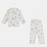 Пижама детская (рубашка, брюки) KAFTAN "Лев" р. 122-128, серый, фото 9