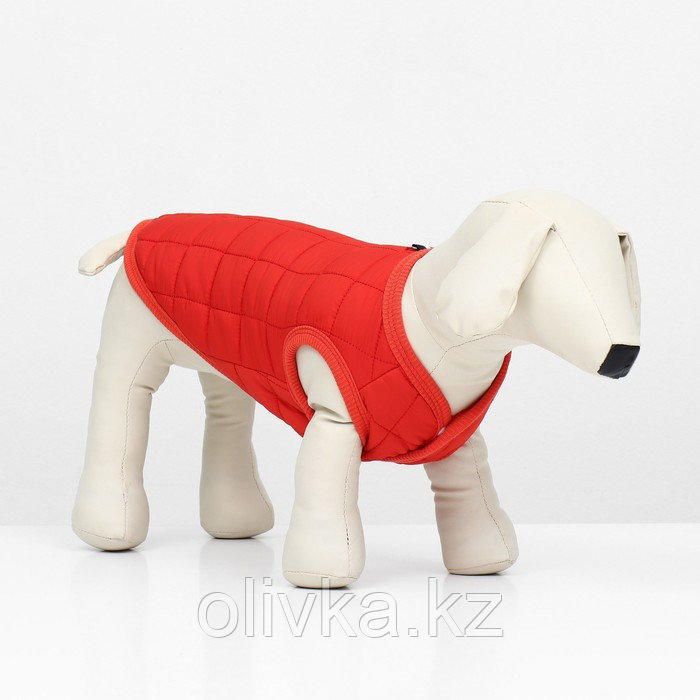 Куртка для собак "Nice", размер 2XL (ДС 41 см, ОШ 41 см, ОГ 54 см), красная - фото 1 - id-p113239809