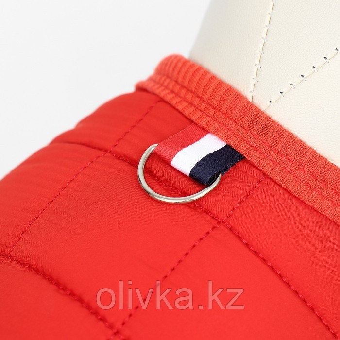 Куртка для собак "Nice", размер 2XL (ДС 41 см, ОШ 41 см, ОГ 54 см), красная - фото 4 - id-p113239809