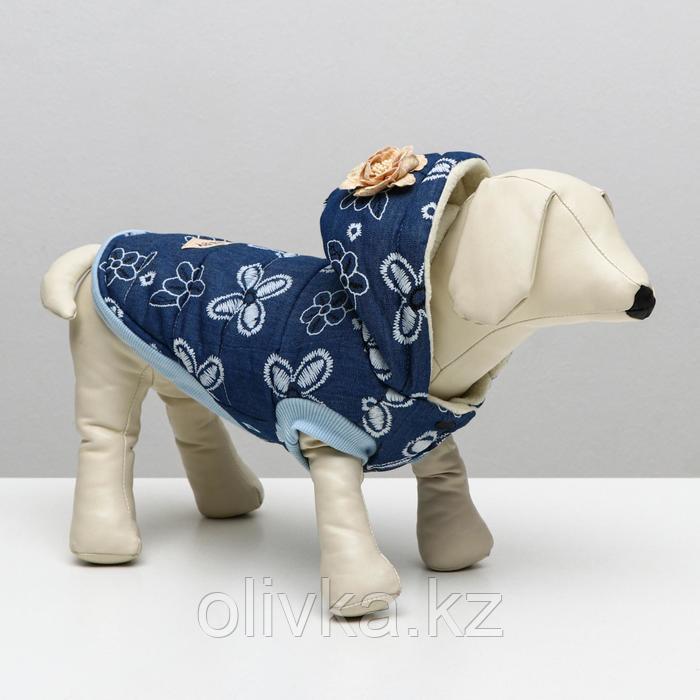 Куртка для собак с цветами, S (ДС 20 см, ОШ 23 см, ОГ 32 см), тёмно-синяя - фото 1 - id-p113232126
