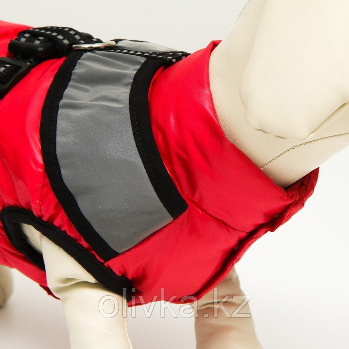 Куртка для собак со светоотражающей шлейкой, размер 8 (ДС 23 см, ОГ 30, ОШ 22 см), красная - фото 5 - id-p113233054
