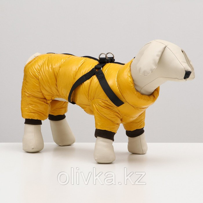 Комбинезон для собак со шлейкой "Моден", размер 22 (ДС 41, ОГ 60, ОШ 43 см), жёлтый - фото 1 - id-p113235580