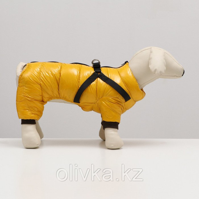Комбинезон для собак со шлейкой "Моден", размер 22 (ДС 41, ОГ 60, ОШ 43 см), жёлтый - фото 2 - id-p113235580