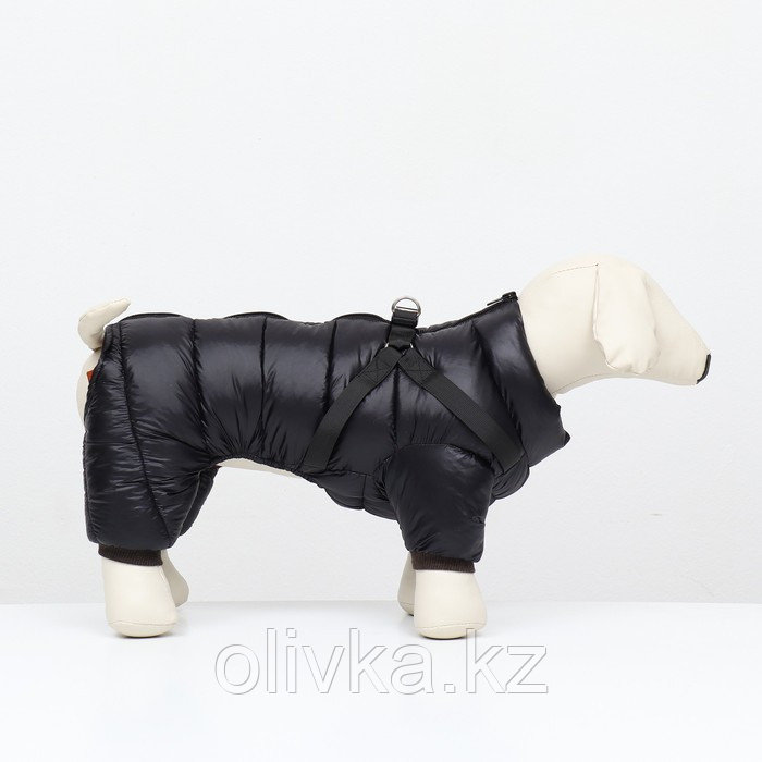Комбинезон для собак со шлейкой "Моден", размер 8 (ДС 23, ОГ 30, ОШ 22 см), чёрный - фото 2 - id-p113238075