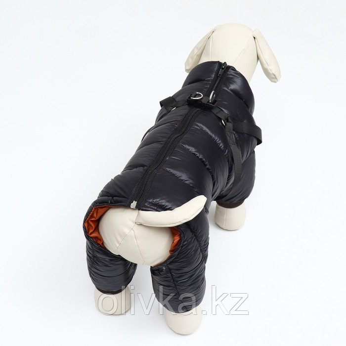 Комбинезон для собак со шлейкой "Моден", размер 8 (ДС 23, ОГ 30, ОШ 22 см), чёрный - фото 3 - id-p113238075