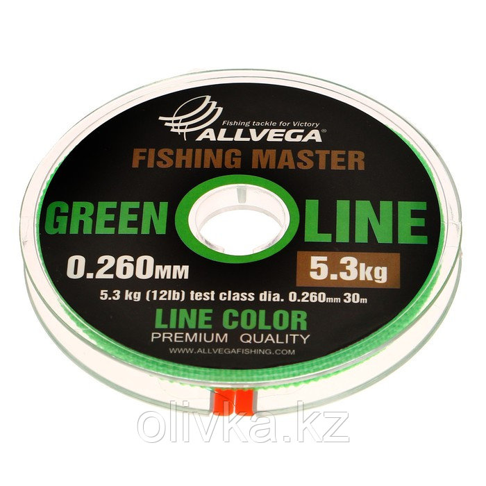 Леска монофильная ALLVEGA Fishing Master, диаметр 0.260 мм, тест 5.3 кг, 30 м, зеленая - фото 1 - id-p113234524