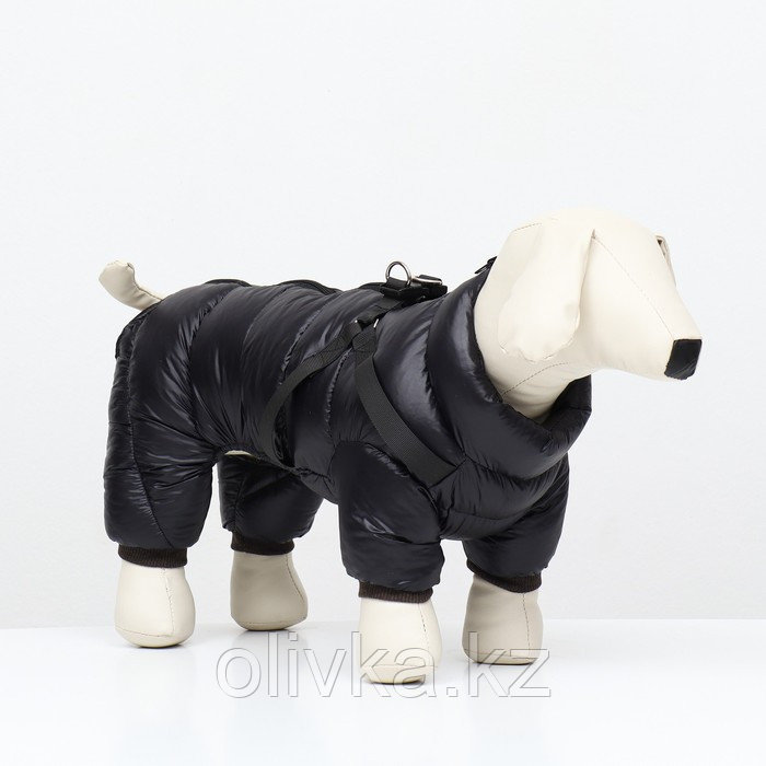 Комбинезон для собак со шлейкой "Моден", размер 10 (ДС 25, ОГ 34, ОШ 24 см), чёрный - фото 1 - id-p113238091