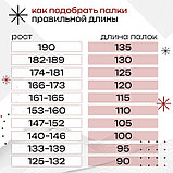 Палки лыжные алюминиевые Gekars Expert Plus, длина 130 см, фото 4