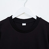 Свитшот мужской MINAKU: Casual collection MAN цвет чёрный, размер 54, фото 6