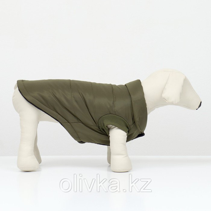 Куртка для собак "Прятки", размер L (ДС 35, ОГ 45, ОШ 35 см), зелёная - фото 2 - id-p113237226