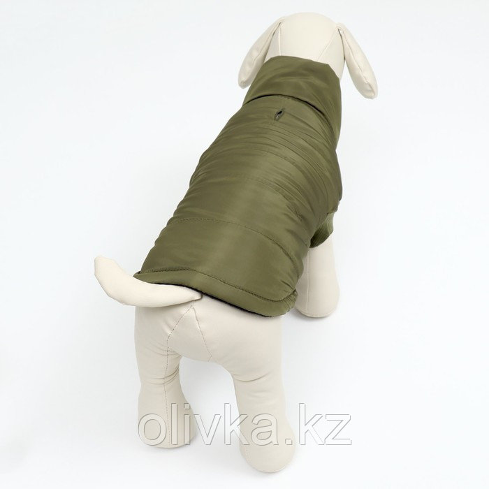Куртка для собак "Прятки", размер L (ДС 35, ОГ 45, ОШ 35 см), зелёная - фото 3 - id-p113237226