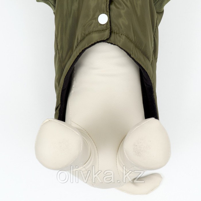 Куртка для собак "Прятки", размер L (ДС 35, ОГ 45, ОШ 35 см), зелёная - фото 4 - id-p113237226