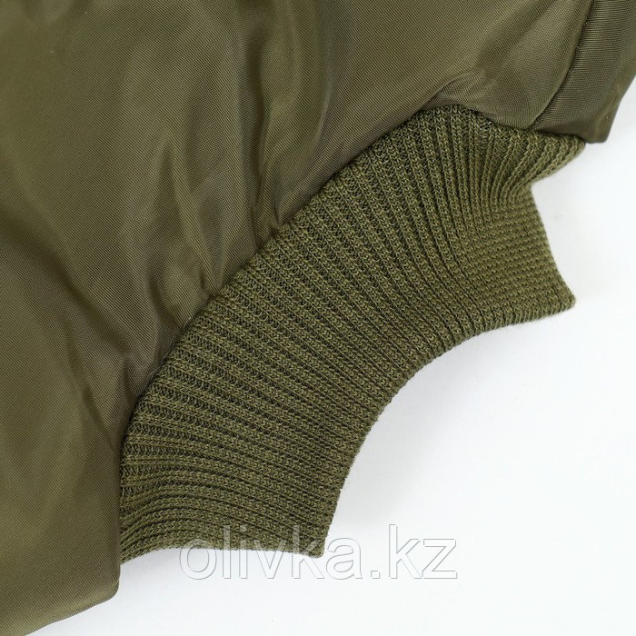 Куртка для собак "Прятки", размер L (ДС 35, ОГ 45, ОШ 35 см), зелёная - фото 8 - id-p113237226