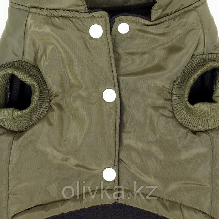 Куртка для собак "Прятки", размер L (ДС 35, ОГ 45, ОШ 35 см), зелёная - фото 9 - id-p113237226