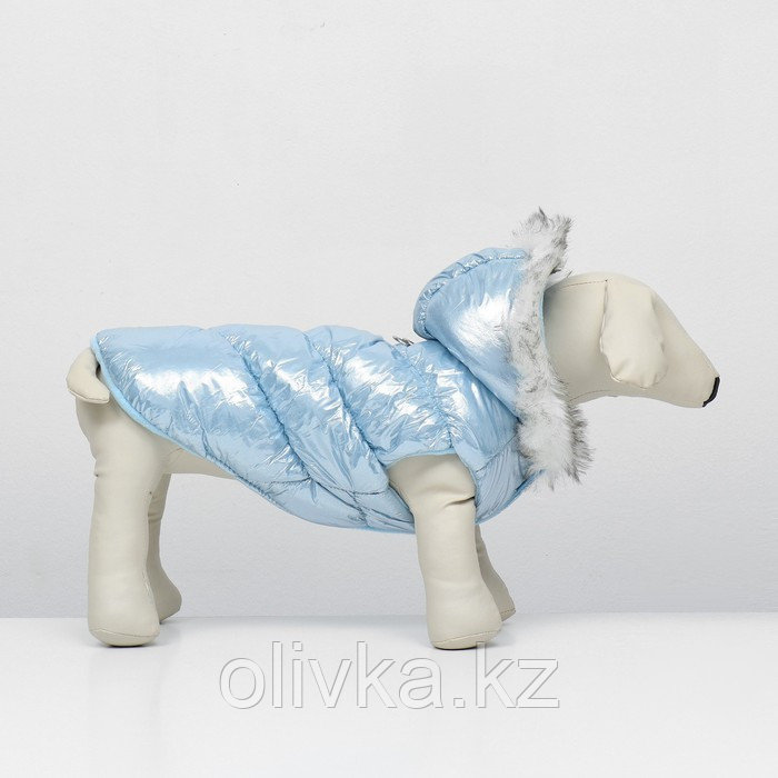 Куртка для собак "Легкость", размер L (ДС 34, ОГ 47, ОШ 34 см, до 11 кг), голубая - фото 3 - id-p113238222