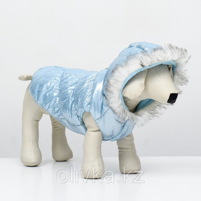 Куртка для собак "Легкость", размер L (ДС 34, ОГ 47, ОШ 34 см, до 11 кг), голубая - фото 4 - id-p113238222