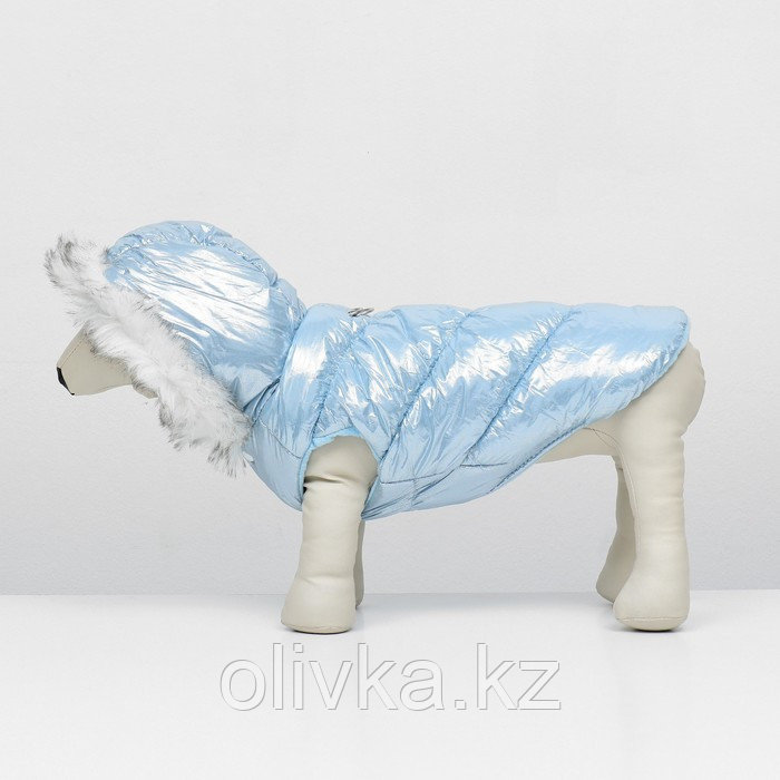 Куртка для собак "Легкость", размер L (ДС 34, ОГ 47, ОШ 34 см, до 11 кг), голубая - фото 5 - id-p113238222