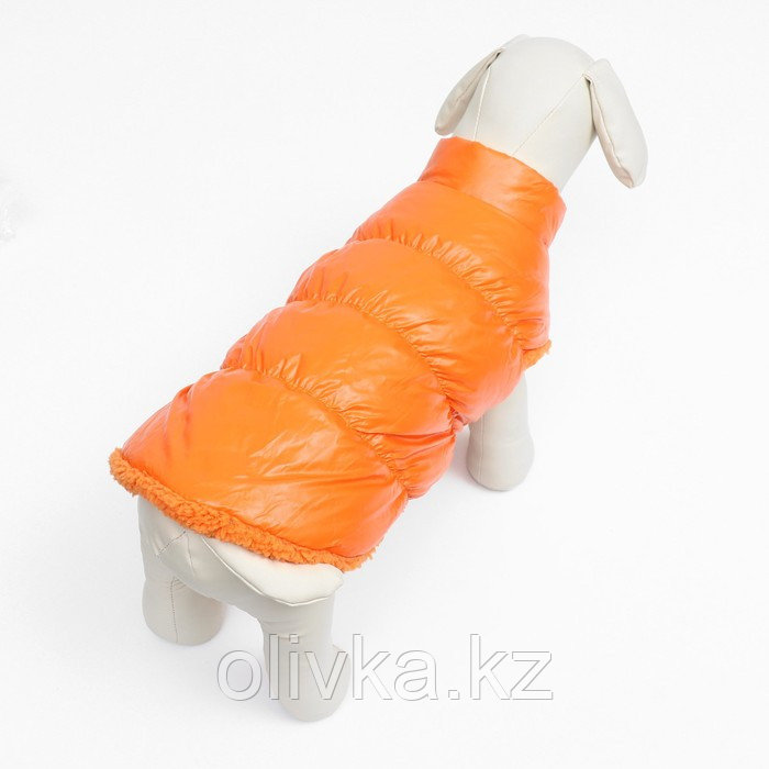Куртка для собак "Блеск", M (ДС 30, ОГ 43, ОШ 28 см, до 7 кг), оранжевая - фото 4 - id-p113238224