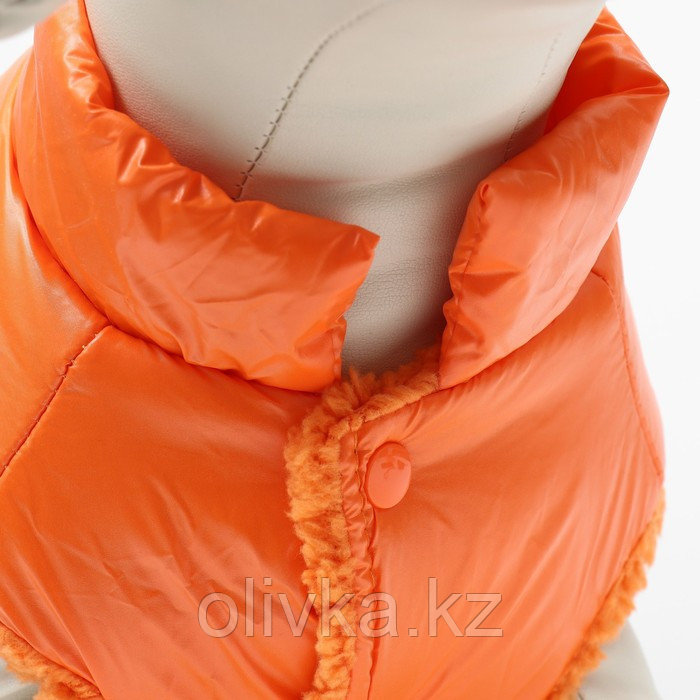 Куртка для собак "Блеск", M (ДС 30, ОГ 43, ОШ 28 см, до 7 кг), оранжевая - фото 5 - id-p113238224