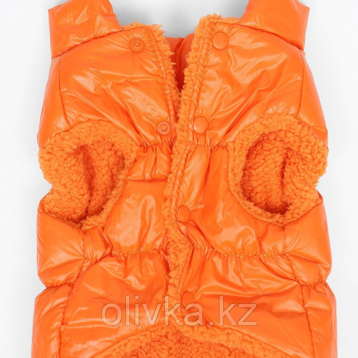 Куртка для собак "Блеск", M (ДС 30, ОГ 43, ОШ 28 см, до 7 кг), оранжевая - фото 9 - id-p113238224