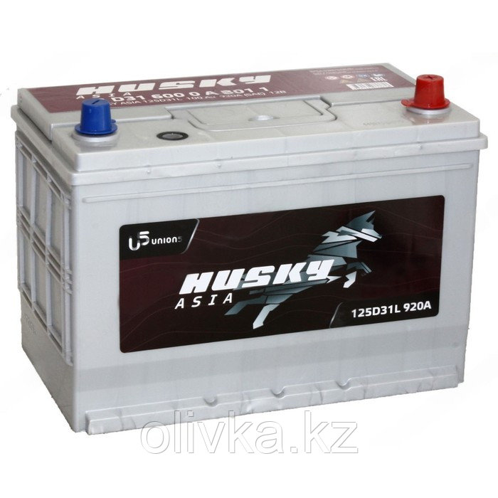 Аккумуляторная батарея Husky Asia 100 Ач, 125D31L, обратная полярность - фото 1 - id-p113241168