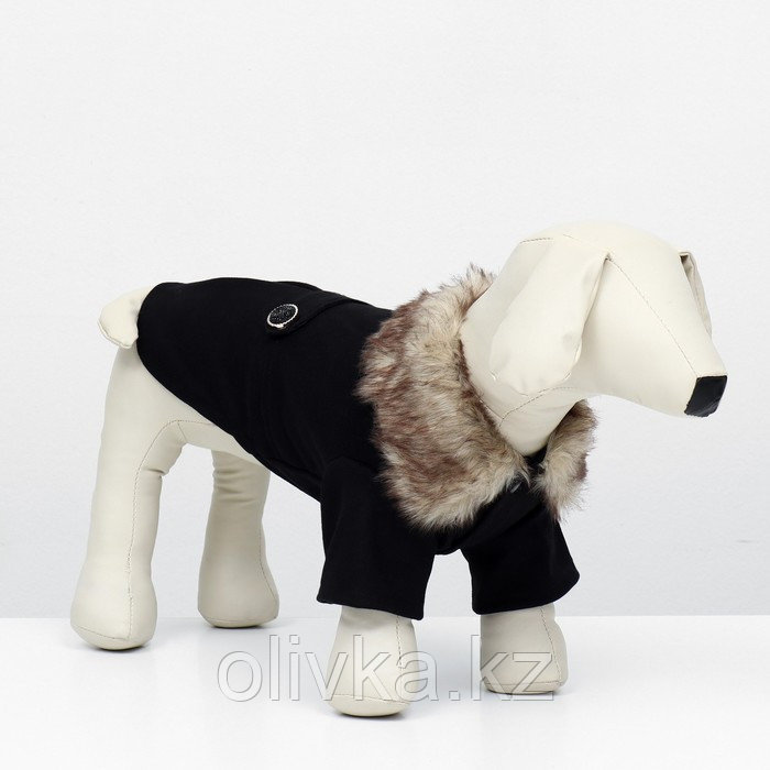 Пальто для собак, размер S (ДС 25, ОГ 38-39, ОШ 25-26 см), чёрное - фото 2 - id-p113238227
