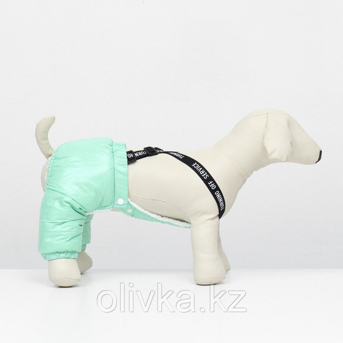 Комбинезон-штаны для собак, размер S (ДС 31, ОТ 34 см), мятный - фото 2 - id-p113238232