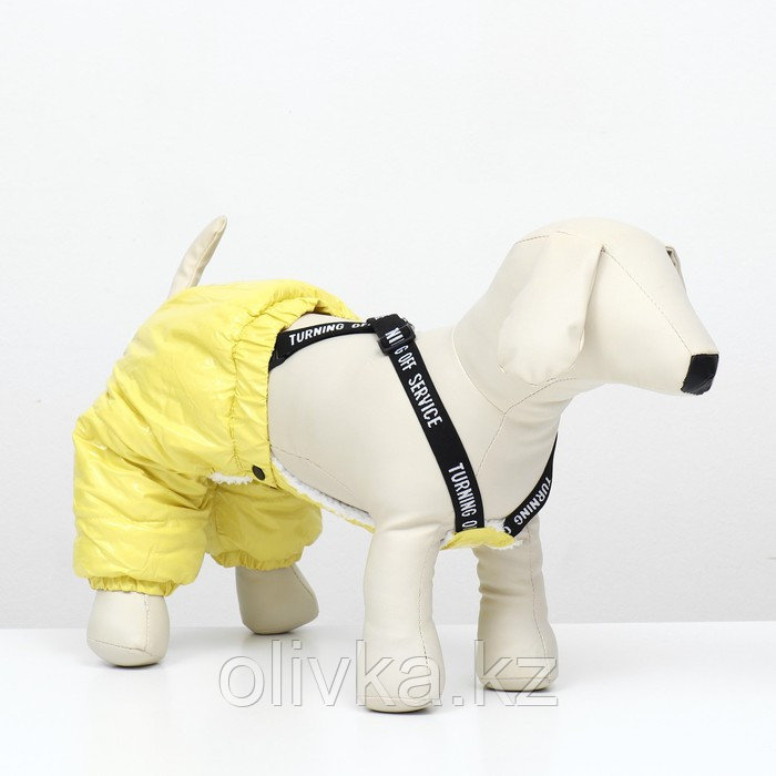 Комбинезон-штаны для собак, размер L (ДС 40, ОТ 44 см), жёлтый - фото 1 - id-p113238233