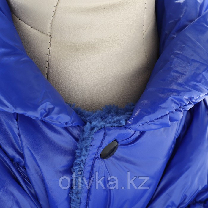 Комбинезон "Блеск", размер XS (ДС 19 см, ОГ 28, ОШ 19 см, до 3 кг), синий - фото 5 - id-p113238283