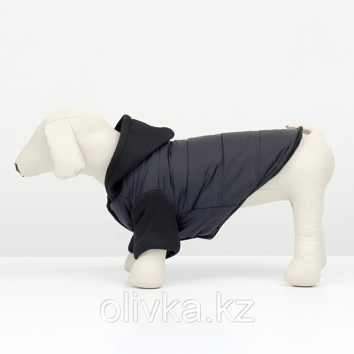 Куртка для собак "Спорт" с капюшоном, размер S (ДС 25, ОГ 35, ОШ 25 см) , чёрная - фото 2 - id-p113237350