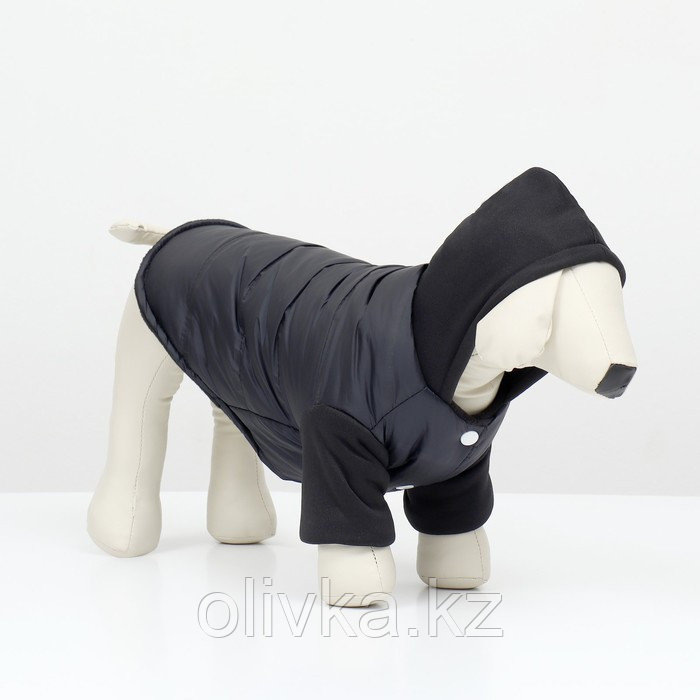 Куртка для собак "Спорт" с капюшоном, размер S (ДС 25, ОГ 35, ОШ 25 см) , чёрная - фото 3 - id-p113237350