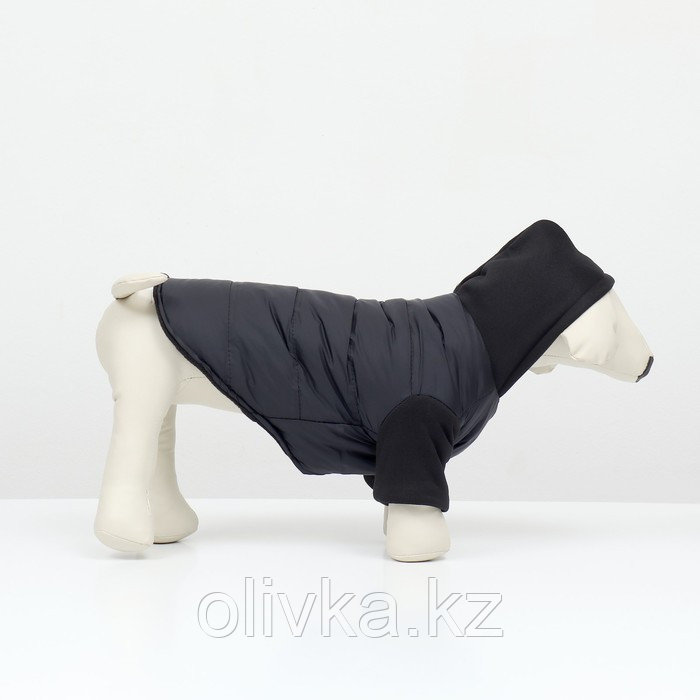 Куртка для собак "Спорт" с капюшоном, размер S (ДС 25, ОГ 35, ОШ 25 см) , чёрная - фото 4 - id-p113237350