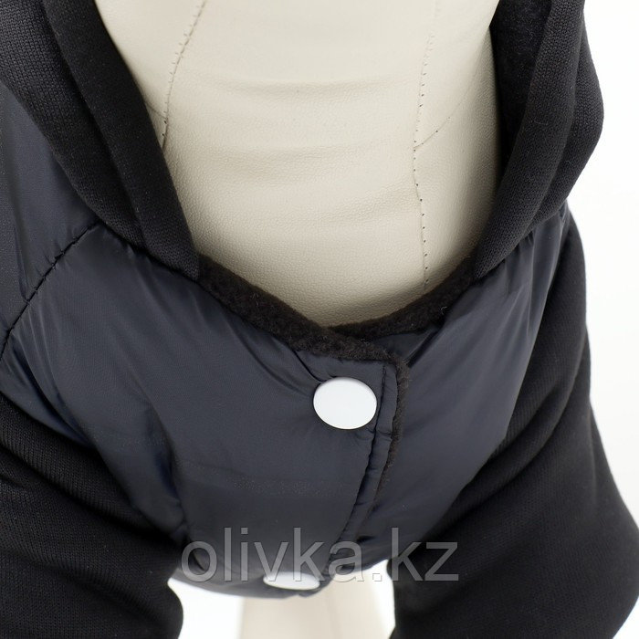 Куртка для собак "Спорт" с капюшоном, размер S (ДС 25, ОГ 35, ОШ 25 см) , чёрная - фото 8 - id-p113237350