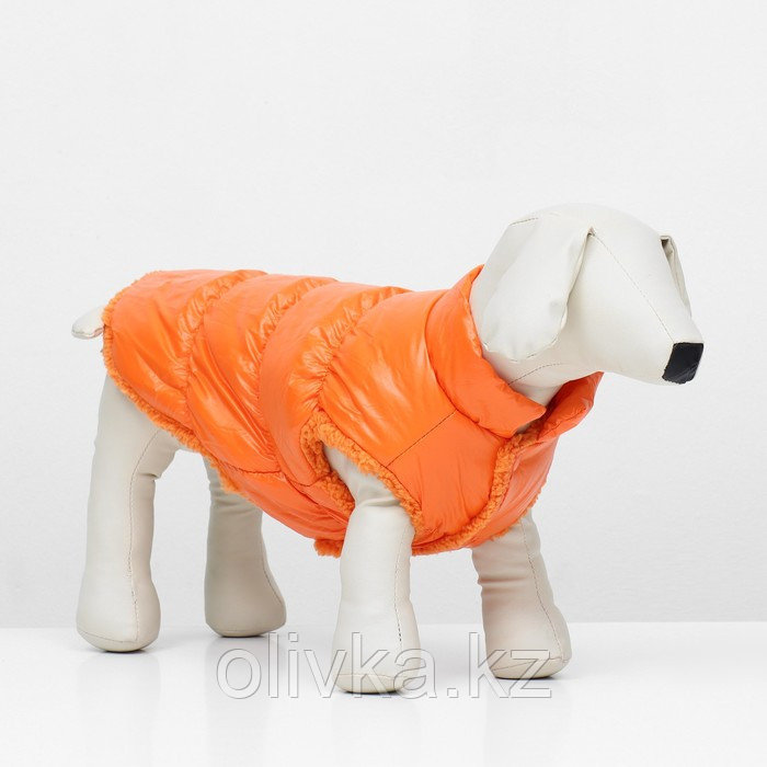 Куртка для собак "Блеск", XS (ДС 20, ОГ 28, ОШ 19 см, до 3 кг), оранжевая - фото 2 - id-p113238416