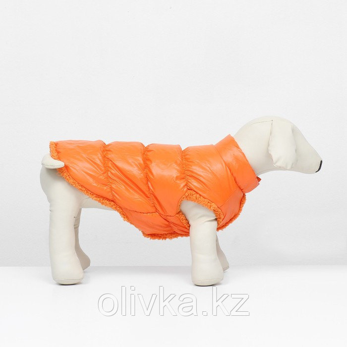 Куртка для собак "Блеск", XS (ДС 20, ОГ 28, ОШ 19 см, до 3 кг), оранжевая - фото 3 - id-p113238416