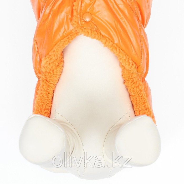 Куртка для собак "Блеск", XS (ДС 20, ОГ 28, ОШ 19 см, до 3 кг), оранжевая - фото 6 - id-p113238416