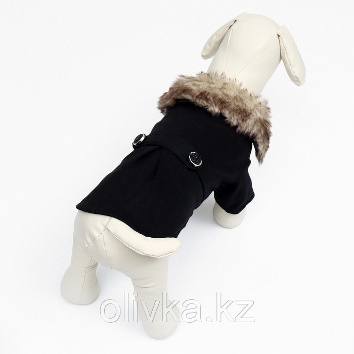 Пальто для собак, размер XS (ДС 20, ОГ 29-30, ОШ 20-21 см), чёрное - фото 4 - id-p113238419
