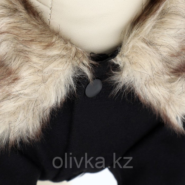 Пальто для собак, размер XS (ДС 20, ОГ 29-30, ОШ 20-21 см), чёрное - фото 5 - id-p113238419